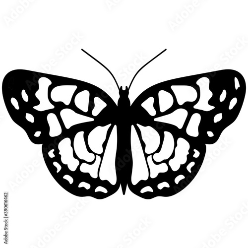 
Brown colored Swallowtail butterfly flat icon image
