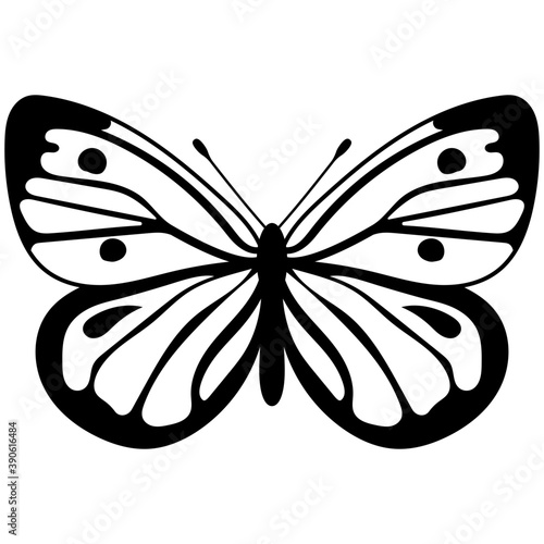 
A colored butterfly flat icon image
