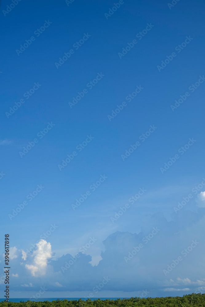 landscape with sky, forest and ocean landscape with sky, forest and ocean