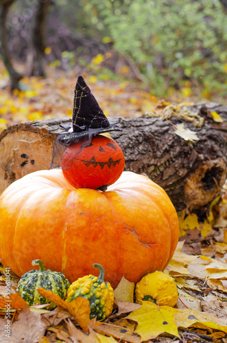 Decorated mini pumpkins with a painted face and a witch's hat on a fallen tree log in the autumn forest. Fallen yellow leaves, a fun Halloween celebration. Vertical image. photo