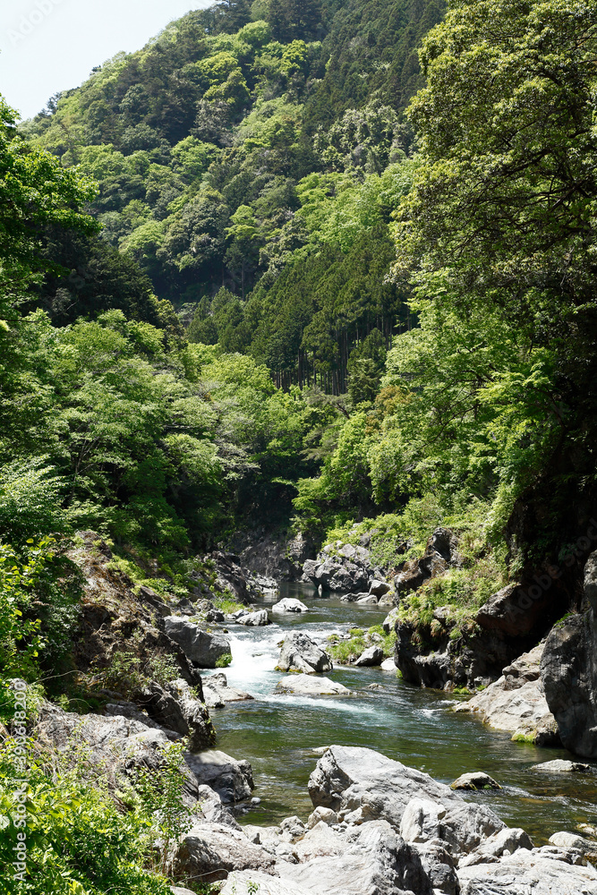 鳩ノ巣渓谷(多摩川) 鳩ノ巣渓谷(多摩川)