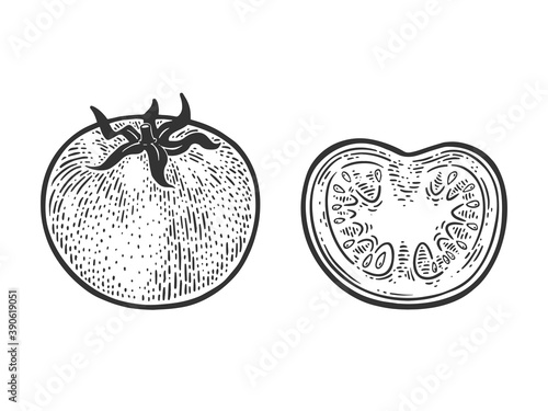 Cut tomato sketch engraving vector illustration. T-shirt apparel print design. Scratch board imitation. Black and white hand drawn image.