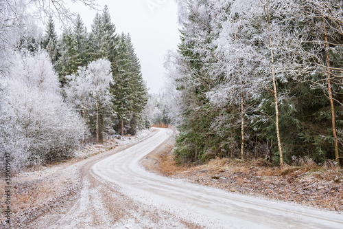 Winding forest road with hoarfrost in the landscape