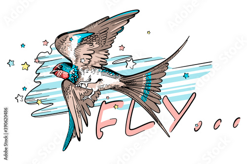 Drawn swallow on an abstract background. Fly illustration. Stylish T-shirt composition with flying bird