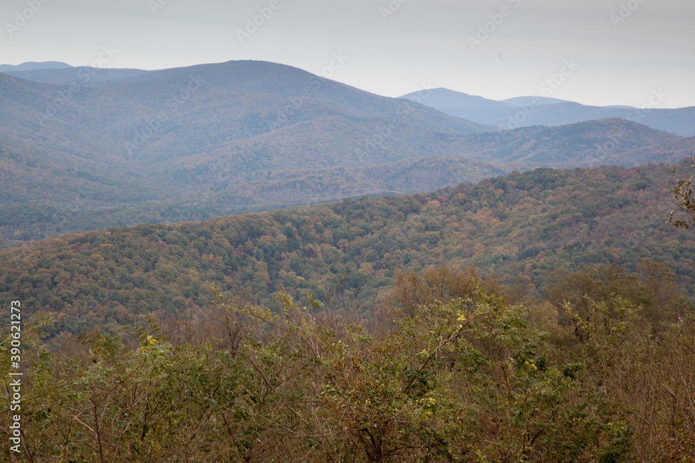 Fototapeta premium Mountain with fall leaves
