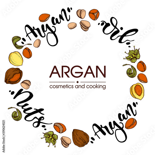 Background with branch argan tree with fruits, nuts argans, leaves, flower argans and glass bottle with oil and accessories Detailed hand-drawn sketches and lettering, vector botanical illustration.