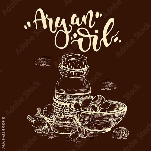 Composition with branch argan tree with fruits, nuts argans, leaves and glass bottle with oil and accessories Detailed hand-drawn sketches and lettering, vector botanical illustration.