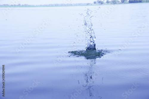 Water splash after throwing stone in water