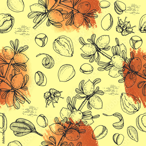 Seamless Pattern with branch argan tree with fruits, nuts argans, leaves, flower argans Detailed hand-drawn sketches, vector botanical illustration.