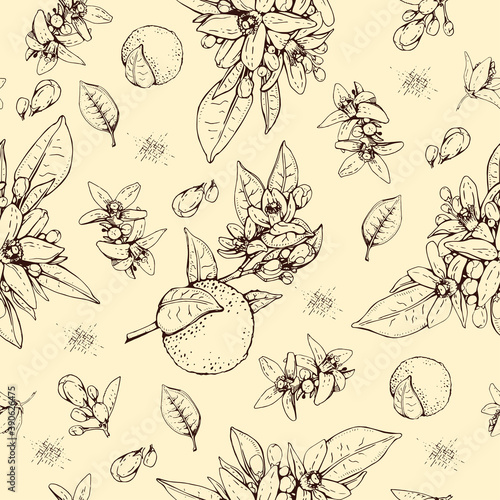Seamless Pattern with bitter orange flowers, buds, fruits . Detailed hand-drawn sketches, vector botanical illustration.