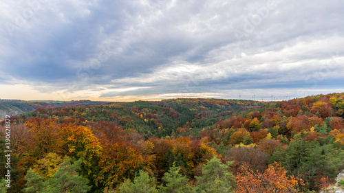 Colorful tree crowns in autumn