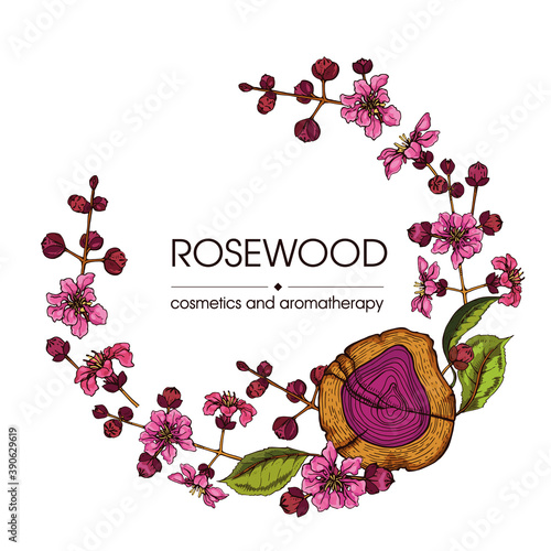 Frame with cut of a Rosewood and twigs with flowers and buds . Detailed hand-drawn sketches, vector botanical illustration.
