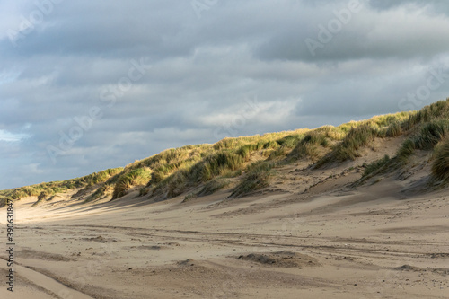 Sand dunes in the Belgian coast.