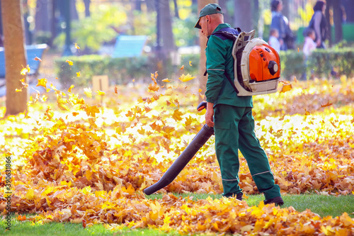 Photos Working in the Park removes autumn leaves with a blower
