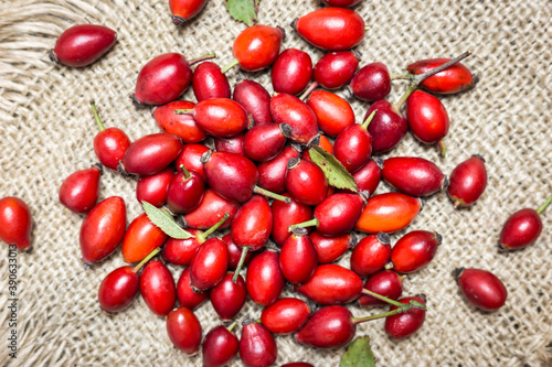 Rose hip fruits background