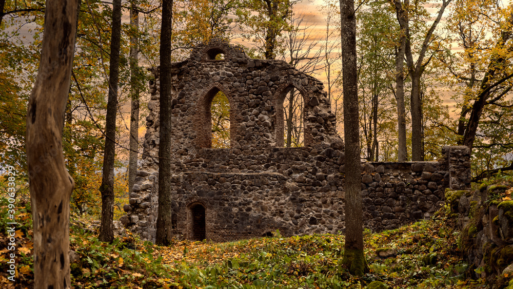 The Ruins of the 13th Century Krimulda Stone Castle  and Wall at Krimulda, Near Sigulda, Latvia, Europe