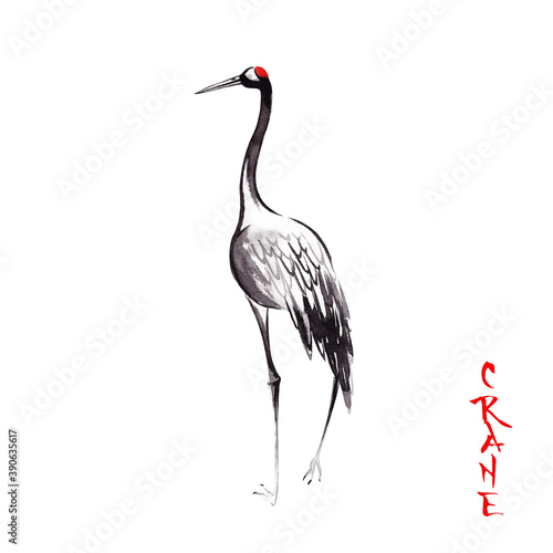 Watercolor ink crane illustration in japanese style 