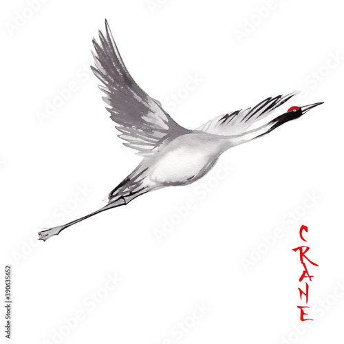 Watercolor ink crane illustration in japanese style  photo