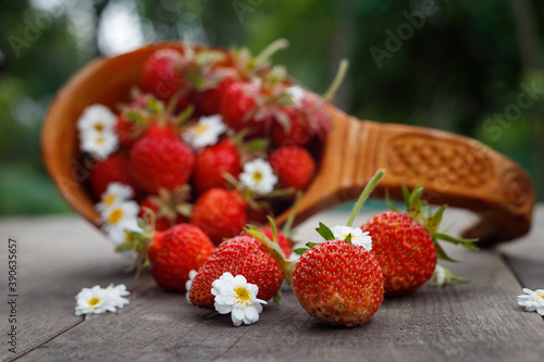 fresh strawberries with daisy flowers. food background