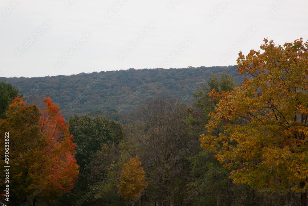 Fall colors in wooded mountains