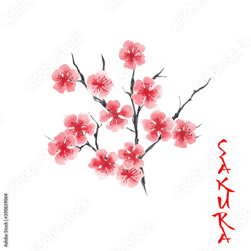 Watercolor cherry tree japanese sakura illustration