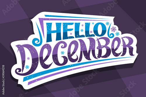 Vector lettering Hello December, white sticker with curly calligraphic font, decorative flourishes and snow flakes, headline with swirly handwriting lettering hello december on abstract background.
