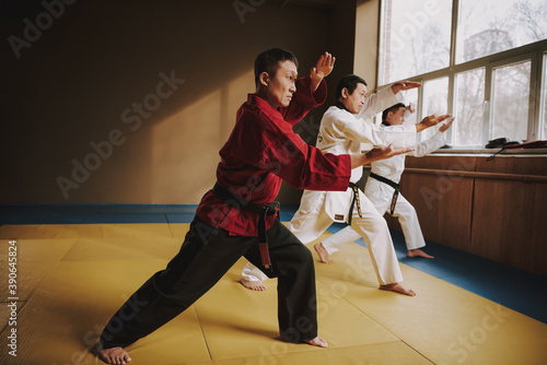 Karate players show ways to attack the opponent.