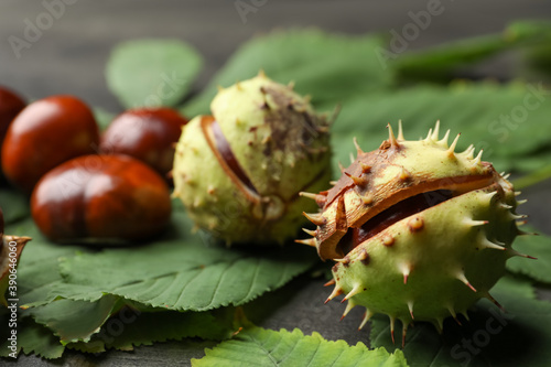 Horse chestnuts and leaves on grey table , closeup