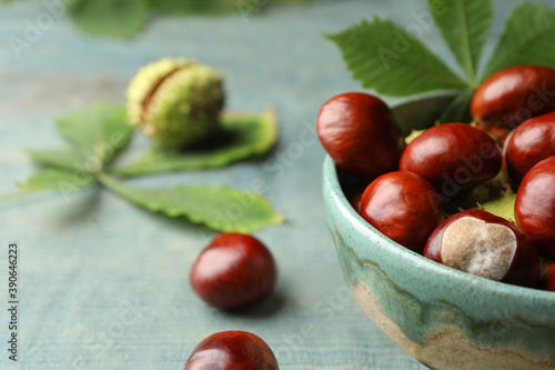 Horse chestnuts in bowl on blue table, closeup. Space for text