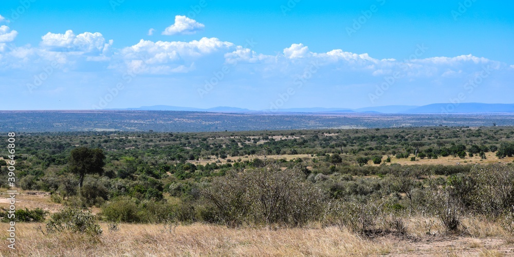 Kenya: landscape of maasai mara park Kenya: landscape of maasai mara park