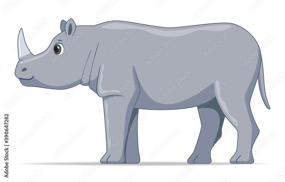 Rhinoceros animal standing on a white background