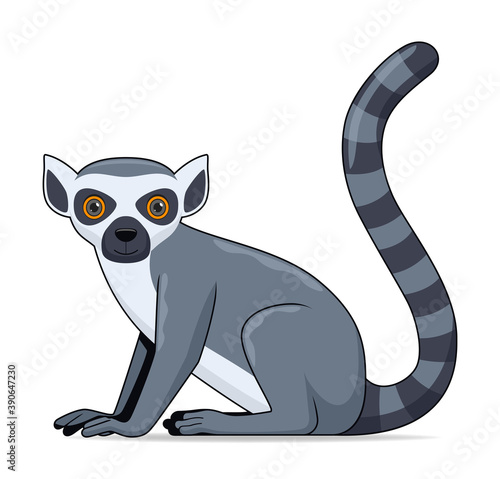 Lemur animal sitting on a white background
