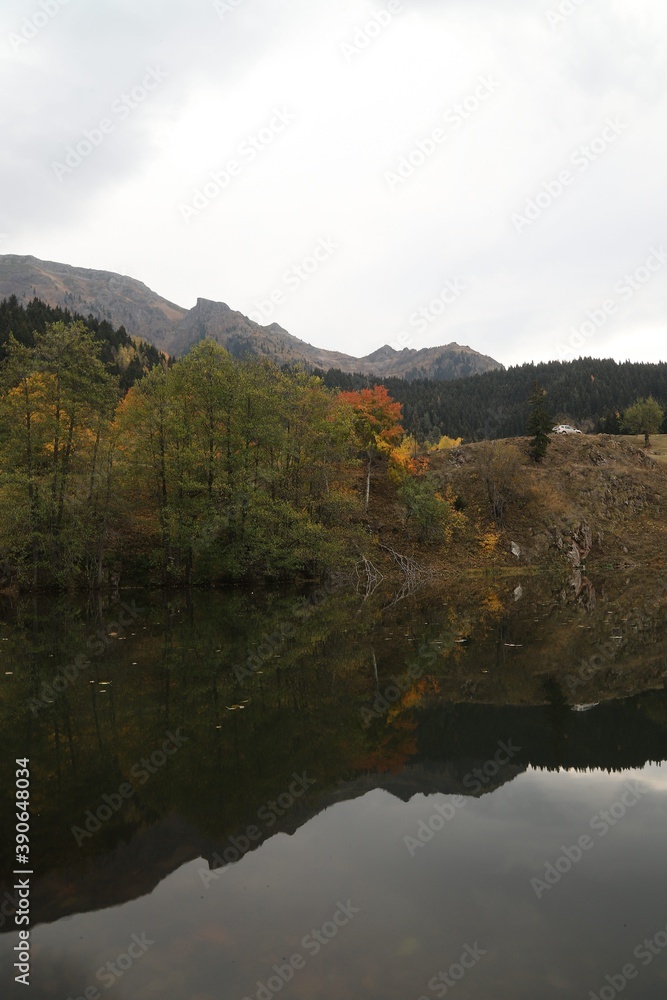 Autumn forest lake water view. Forest lake water in autumn. Autumn forest lake. Autumn forest lake view.artvin /TURKEY