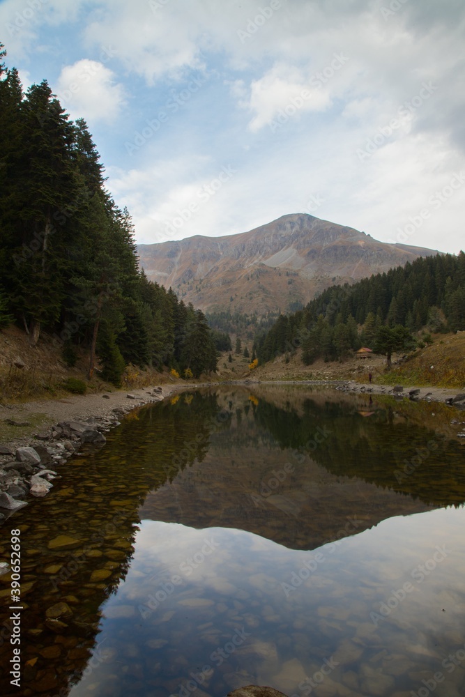 Fototapeta premium Autumn forest lake water view. Forest lake water in autumn. Autumn forest lake. Autumn forest lake view