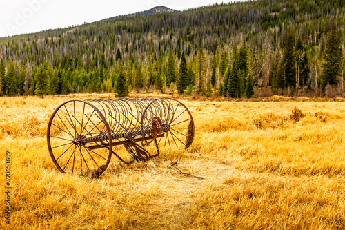 Old, vintage hay tedder on a golden meadow in Colorado