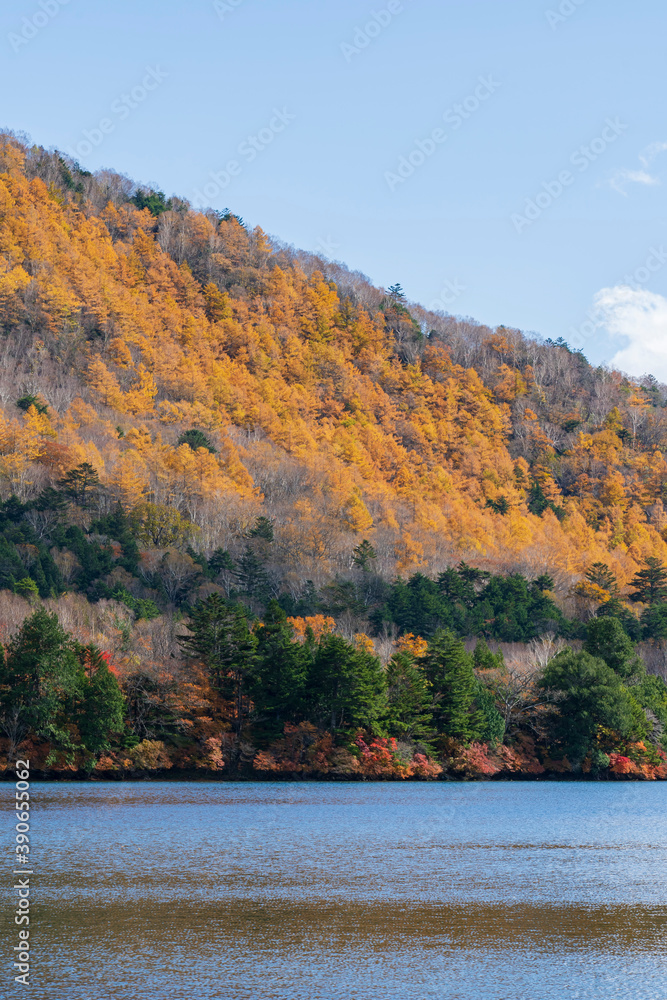 【栃木県】奥日光 湯ノ湖の紅葉