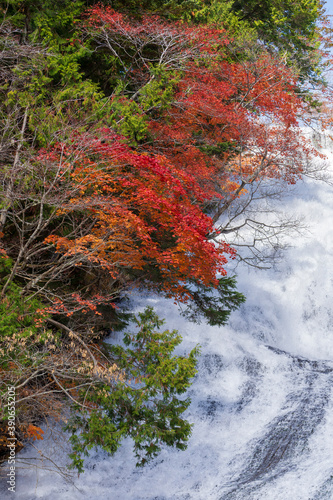 【栃木県】奥日光 紅葉の湯滝