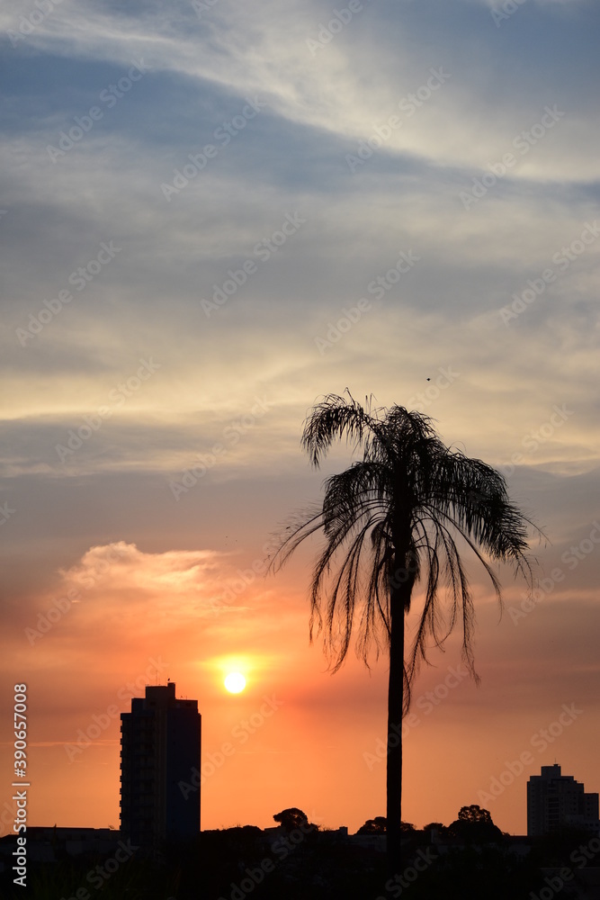 Fototapeta premium sunset in the city