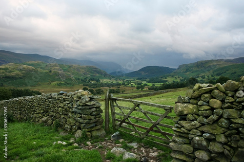 View down the Naddle Valley from a five-bar gate and sheepfold towards Helvellyn, on an overcast evening, Lake District National Park, Cumbria, England, UK