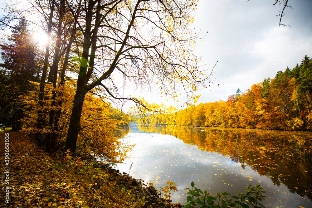 golden autumn, autumn landscape, reservoir in the Upper Palatinate, colorful leaves