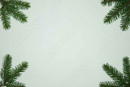 christmas background with fir branches
