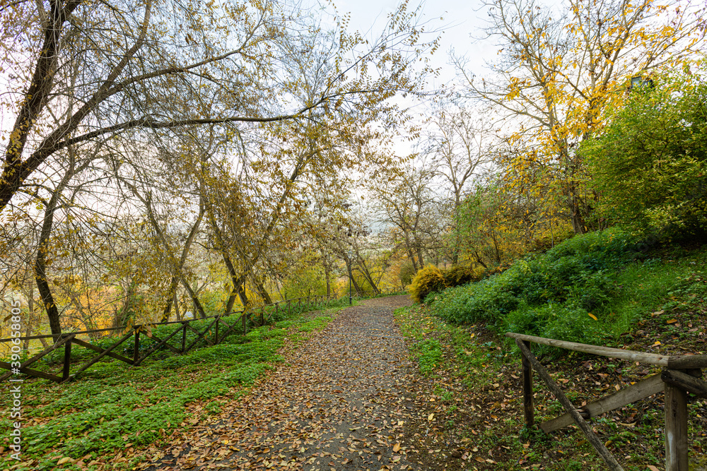 foresta, autunnale, orvieto, umbria, italia, duomo, cattedrale, storico, panorama, cittá, paesaggio, veduta, cittadina, architettura, panoramica, cielo, viaggiare, distanza, europa, foresta, autunnale, orvieto, umbria, italia, duomo, cattedrale, storico, panorama, cittá, paesaggio, veduta, cittadina, architettura, panoramica, cielo, viaggiare, distanza, europa,