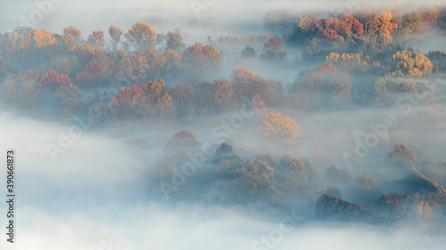Shades of autumn, wonderful sunset over the misty forest