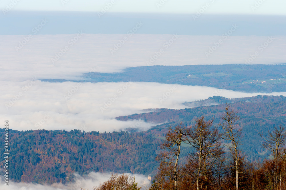 Wunderschöner Blick vom Kandel ins Tal. Herbststimmung mit viel Nebel Wunderschöner Blick vom Kandel ins Tal. Herbststimmung mit viel Nebel