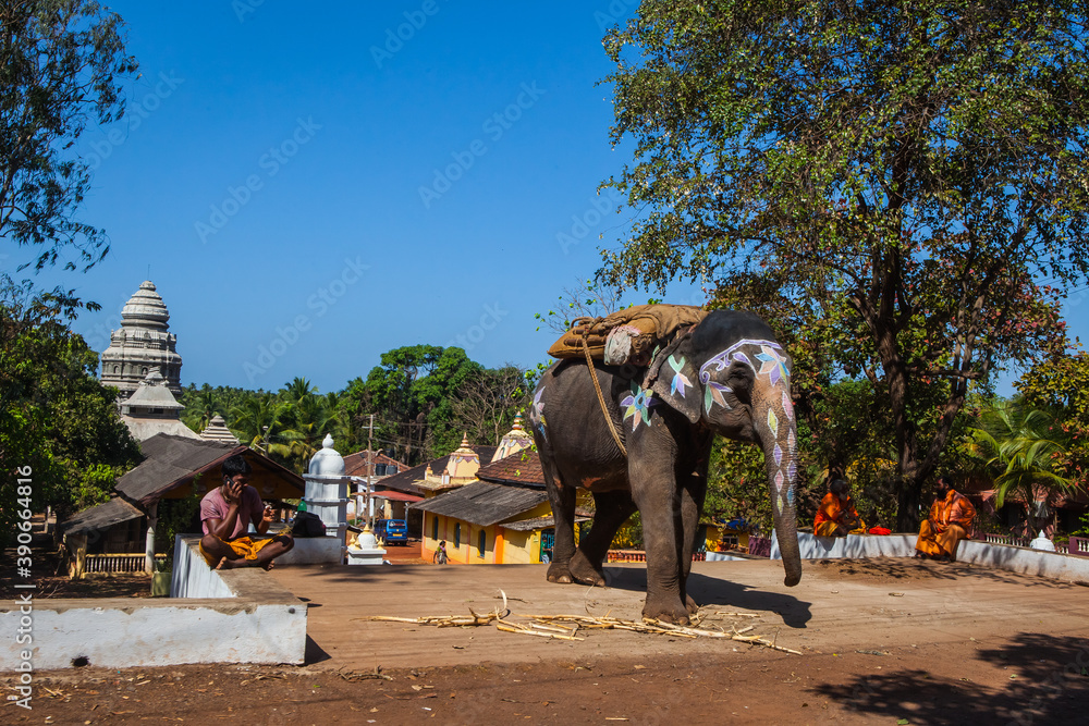 Naklejka premium Elephant on holiday