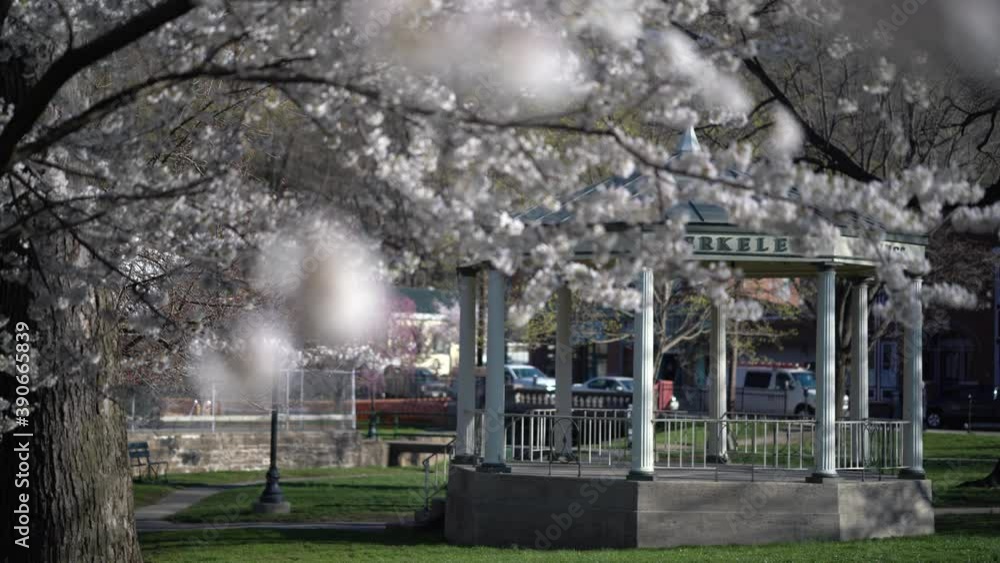 Static shot of very large gazebo in Berkeley Springs State Park through blossoms. Static shot of very large gazebo in Berkeley Springs State Park through blossoms.