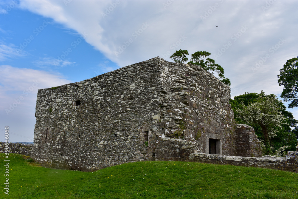 Ancient Irish Monastic Site, Oughterard, Kildare
