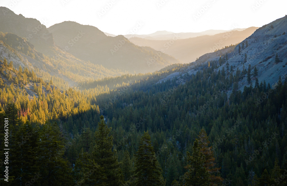 Obraz premium Stanislaus National Forest