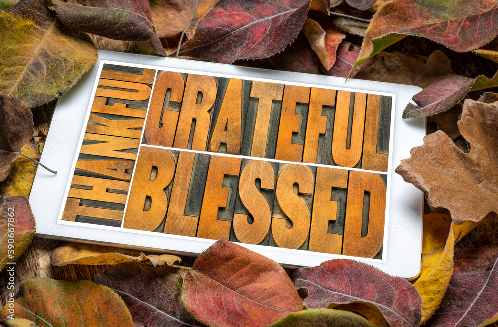 thankful, grateful and blessed - abstract in vintage letterpress wood type on a digital tablet against dry leaves background, Thanksgiving theme and greeting card - obrazy, fototapety, plakaty 