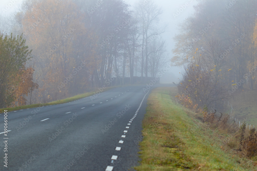 Fog on an empty autumn highway road in the countryside with colorful yellow and bare trees on the sides